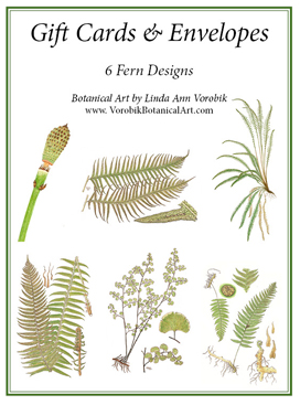 Gift cards by Vorobik: Ferns